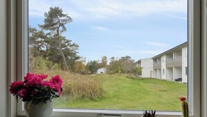 Ein Fenster mit Blick auf eine Wiese und ein Gebäude mit Balkonen.