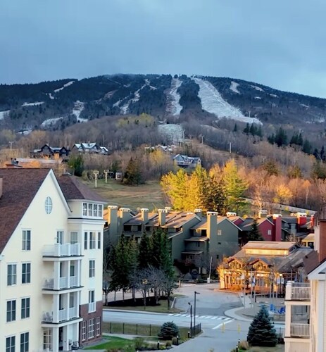 Chalet /Stratton Mountain VT /5 minutes from base/Tesla Charger/5 bedrooms