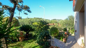 Ein Garten mit verschiedenen Pflanzen und einem Weg, der zu einem Gebäude führt.