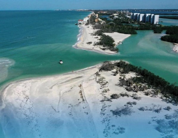 Beach - Welcoming spacious Beach Cottage in  Sarasota near Siesta Key  w/ Luxury Decor (Sarasota)