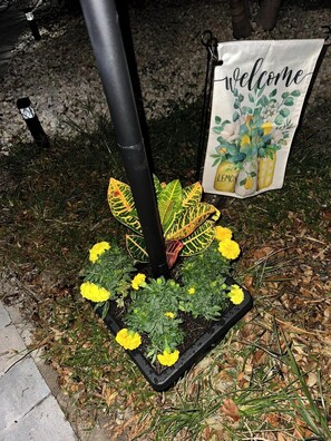 Letrero de bienvenida con una jardinera de flores amarillas y follaje verde.