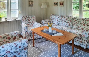 TV, fireplace, DVD player