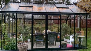 A greenhouse with a glass roof, a seating area with chairs, and various potted plants.
