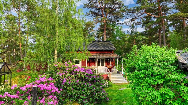A small wooden cabin surrounded by lush greenery and flowering shrubs.