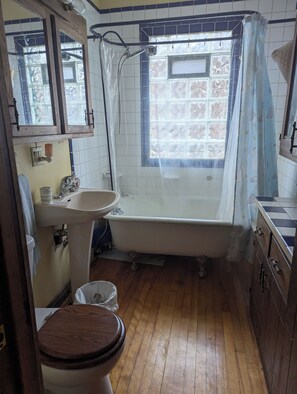 Bidet - Convenient 2-bedroom lower duplex close to downtown (Minneapolis)
