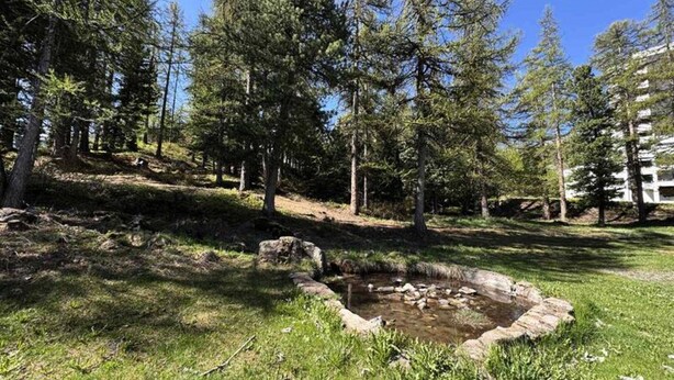 Parco della struttura