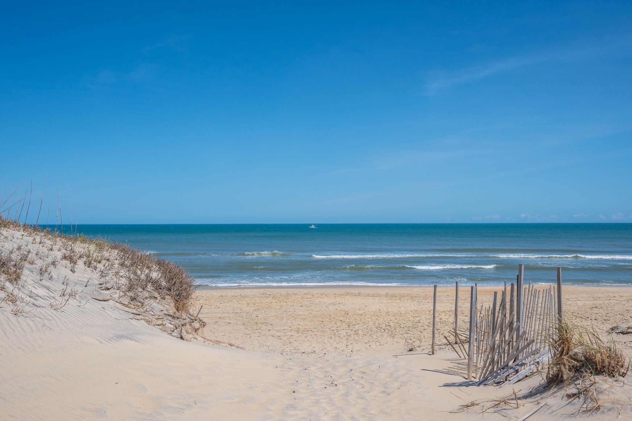 A sandy beach with a wooden fence and sparse vegetation.