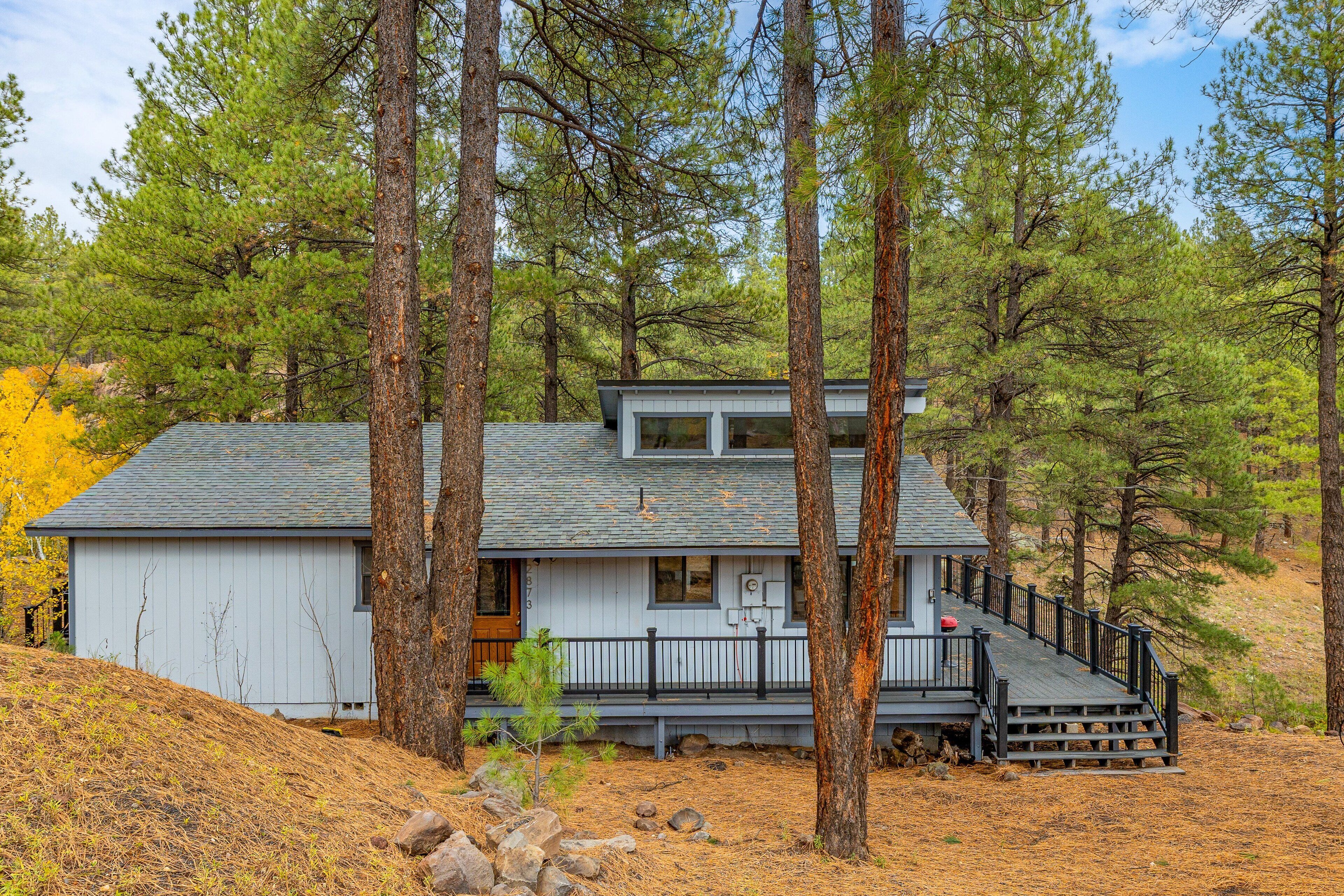A cabin with a porch and steps, surrounded by tall pine trees.