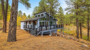 Une cabane dotée d’une terrasse, entourée de grands pins.