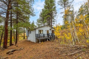 Exterior - 🌲 Forest Cabin Retreat Overlooking a Meadow & Pond (Flagstaff)