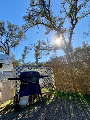 المنطقة المحيطة بالمنشأة