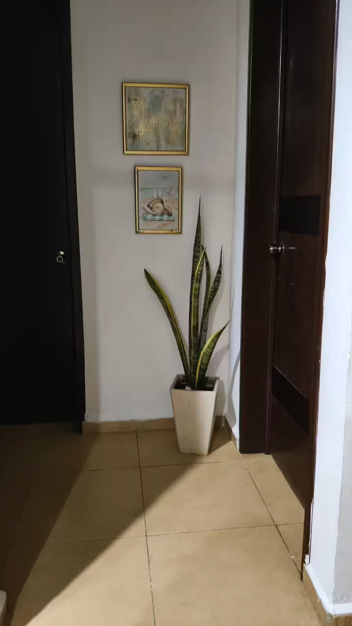 Un pasillo con una planta en maceta, dos cuadros en la pared y una puerta cerrada.