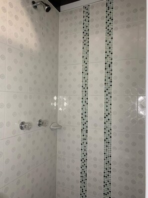 Regadera, toallas, jabón, shampoo 