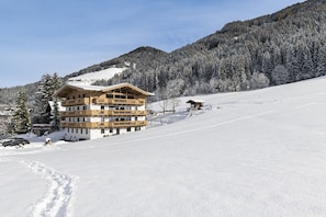 House | Exterior - Alpine Apartment With Dream View & Garden Feeling (Wildschönau)