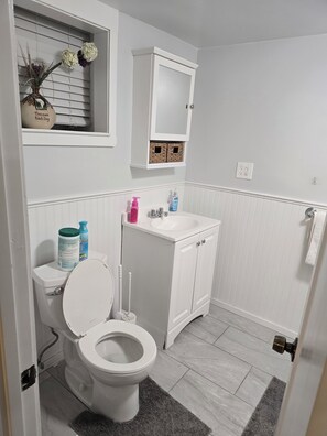 Hair dryer, towels, soap, toilet paper