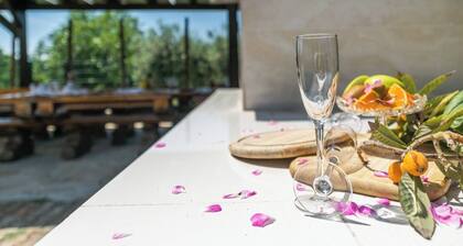 Large Villa with Private Pool in Medulin