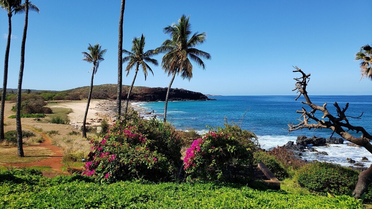 Imagen de perfil del propietario o de la propietaria