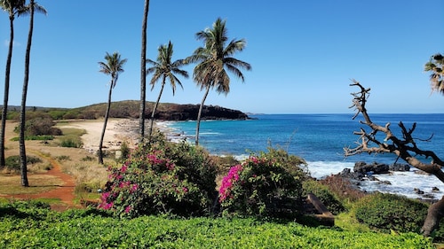 NEW!!! Molokai Lei Over