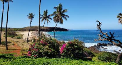 NEW!!! Molokai Lei Over