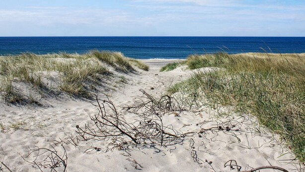 Un sentier de sable qui longe la plage et mène à l’océan, bordé de dunes.