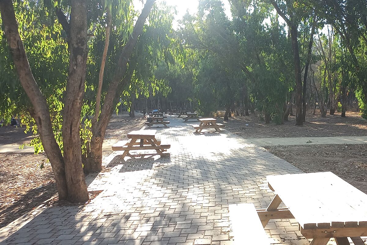 Un espace pique-nique équipé de tables et de bancs, entouré d’arbres.
