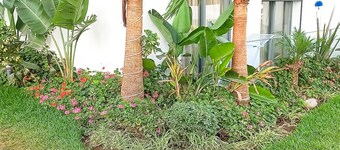 Charming 1-bedroom apartment with AC, fitness room in enchanting Nouaceur