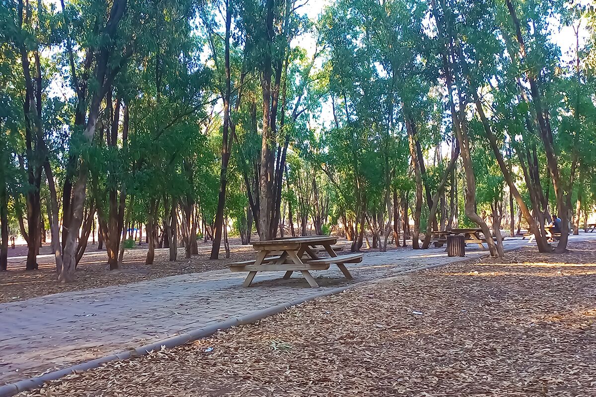 Un parc équipé de tables de pique-nique et d’un chemin pavé.