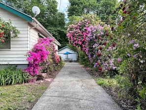 Terrein van de accommodatie