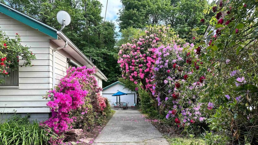 Seattle's Starlight Bungalow