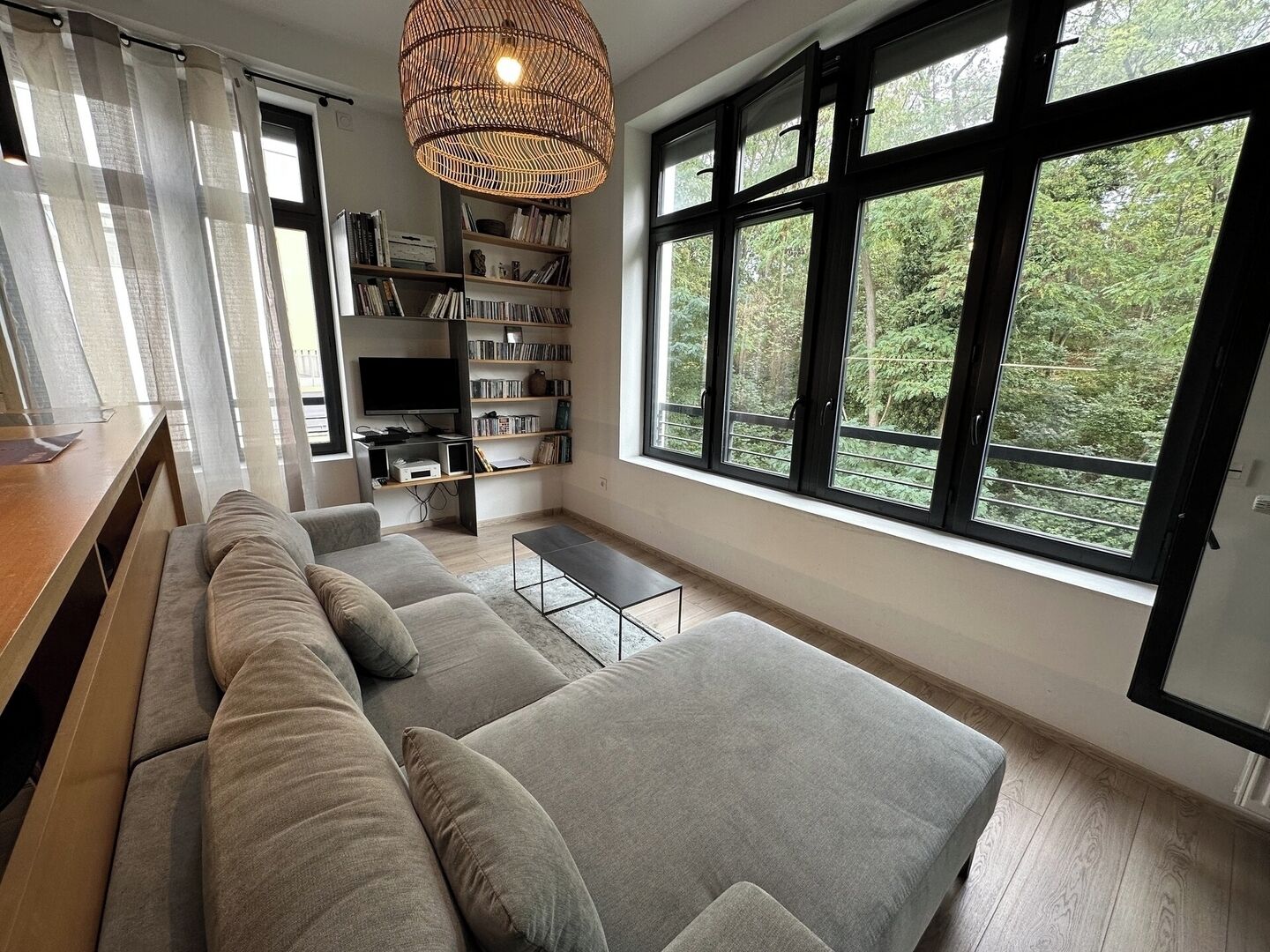 電視、DVD 播放機、書籍、音樂庫