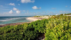 A beach with clear blue water, sandy shore, and lush greenery in the foreground. - Ocean View Cottage at Abaco Inn (Elbow cay)