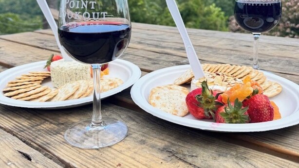 Two picnic tables with wine glasses and plates of snacks, set against a scenic mountain backdrop. - Spacious Family Retreat  2 Indoor Fireplaces + Volleyball Fun! (Flat Rock)