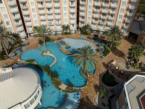 Pool - Spend Holidays at the Divi Aruba Phoenix Beach Resort - One Bedroom Suite wk 51! (Noord)