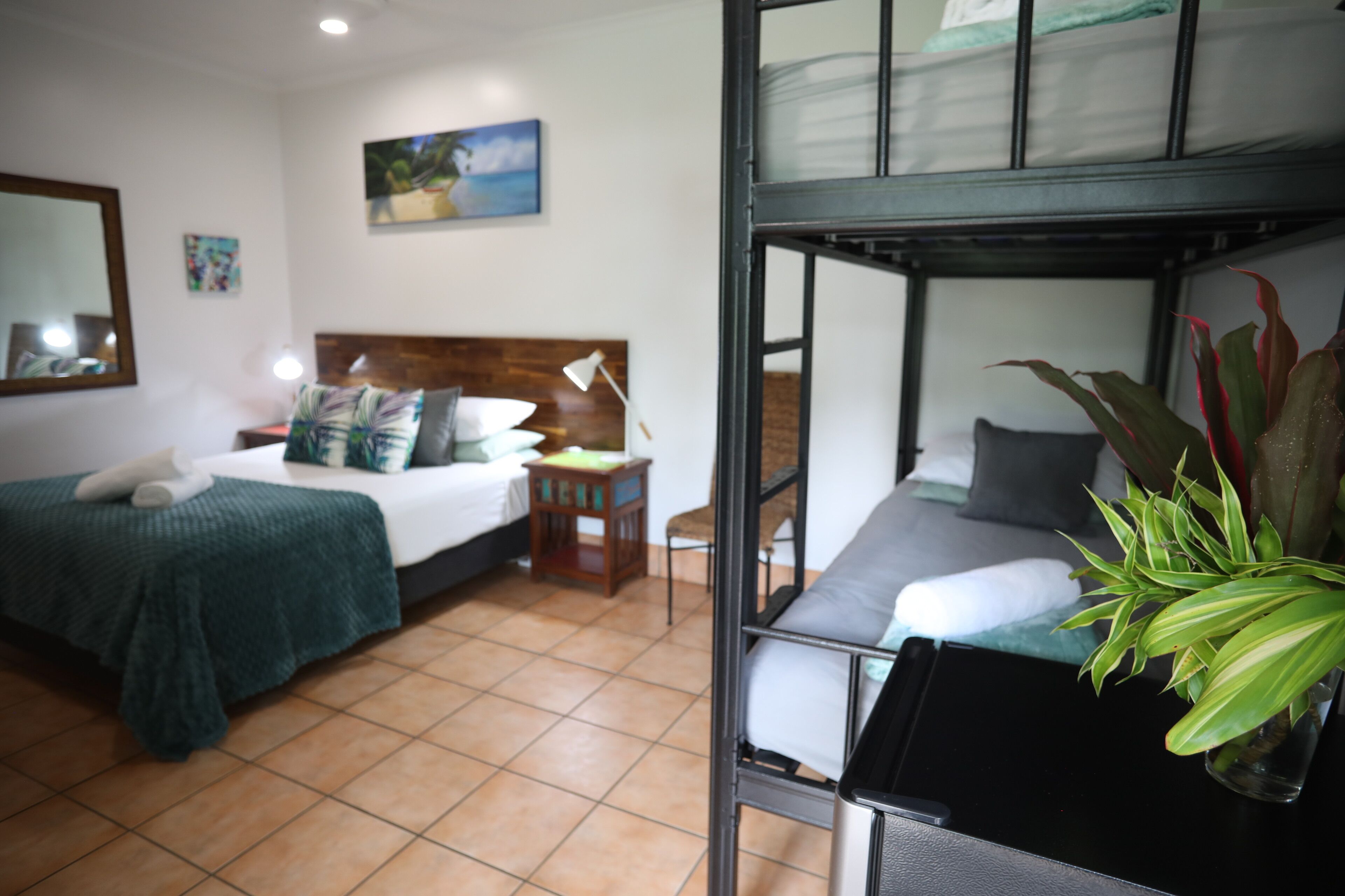 A room with a bunk bed, a single bed, a bedside table with a lamp, a chair, and a potted plant.