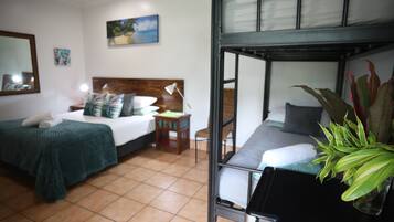 A room with a bunk bed, a single bed, a bedside table with a lamp, a chair, and a potted plant.