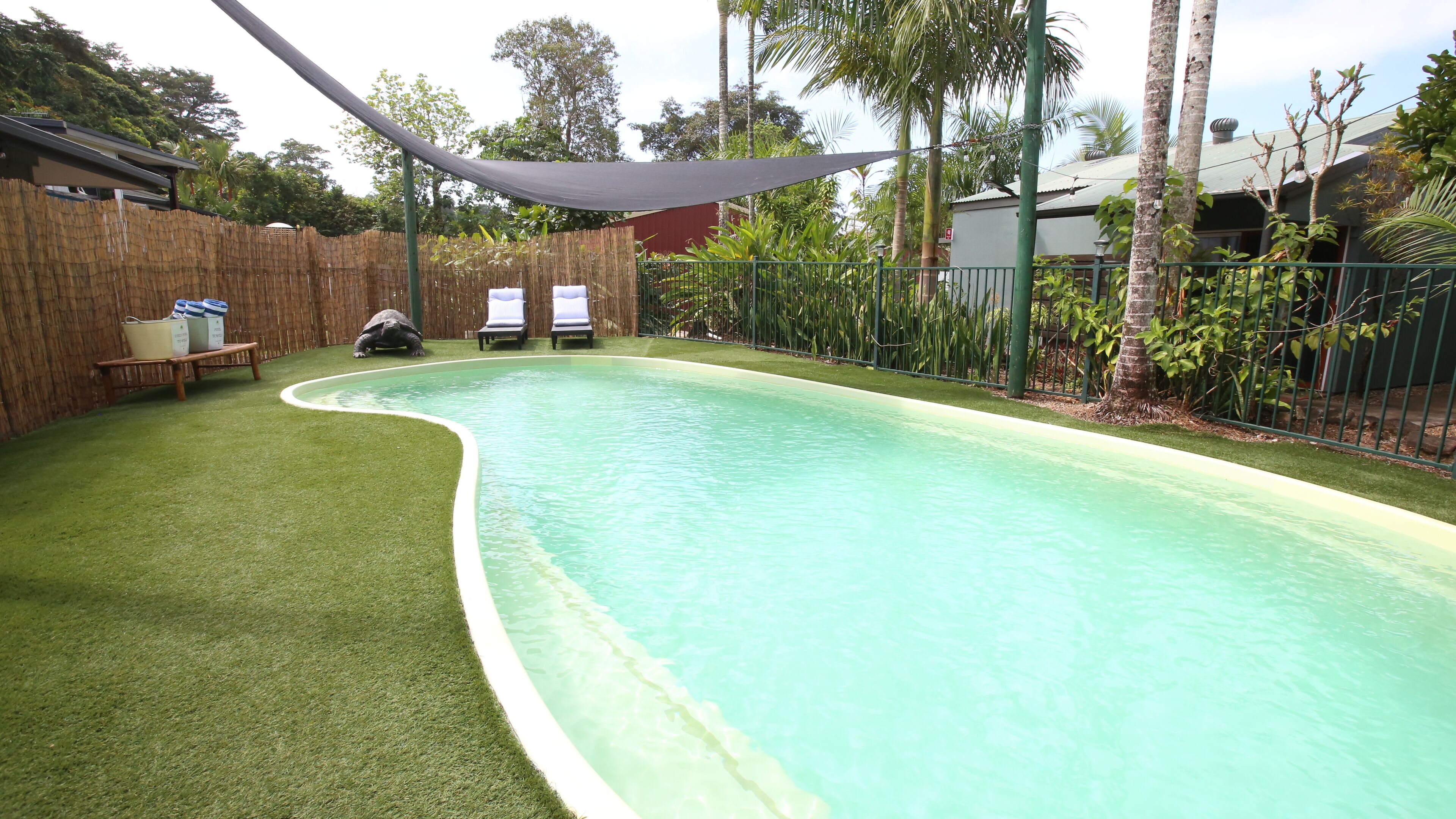 Una piscina con borde curvo, rodeada de césped artificial y una valla de bambú.