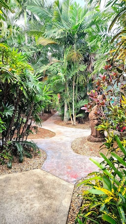 Property grounds. Rainforest Motel