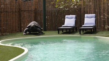 Utomhuspool med öppettider 08.00 till 20.00, och solstolar