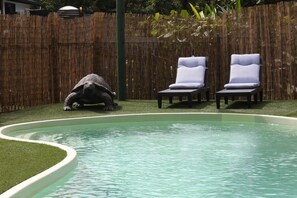 Útilaug, opið kl. 08:00 til kl. 20:00, sólstólar