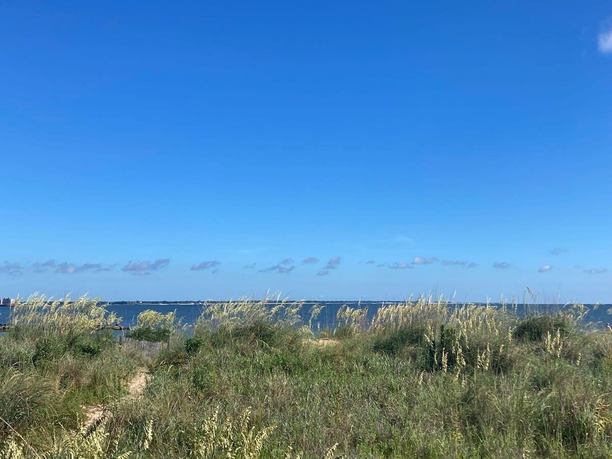 A coastal landscape with a clear sky, grassy dunes, and a distant view of the sea.