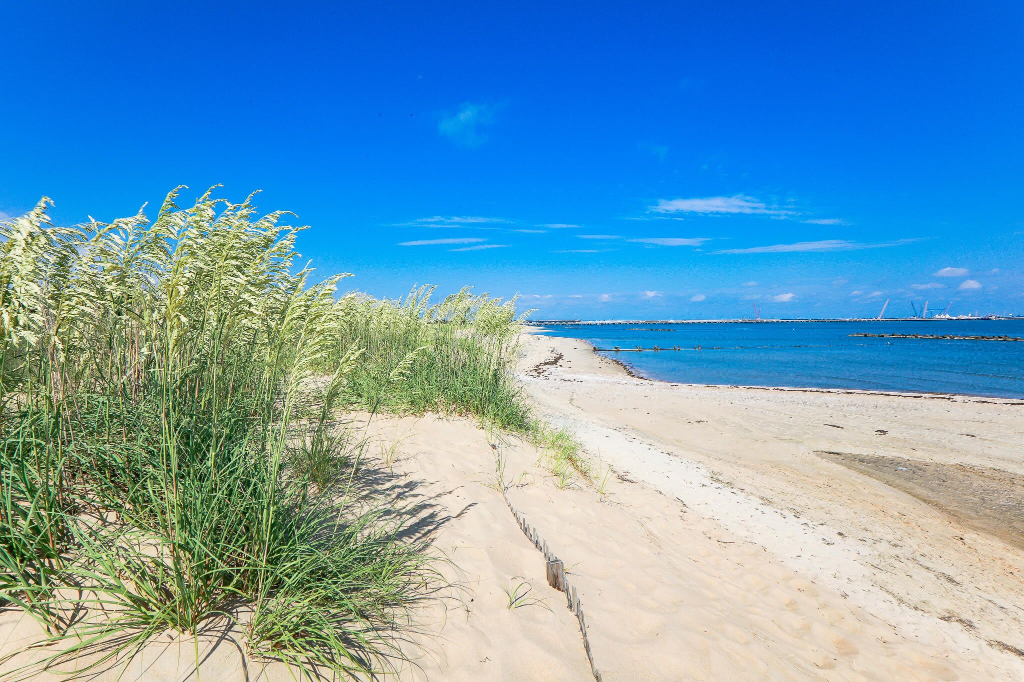 Una playa con arena y hierba alta.
