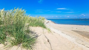 Une plage de sable avec de hautes herbes.