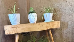 A wooden shelf with three potted plants and a decorative bust. - Karma Yatri Mudhouse Kasol (Bhuntar)
