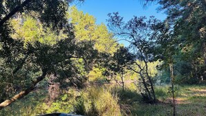 A boat in a wooded area.