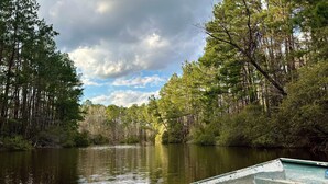 A rowboat with a paddle on a calm river surrounded by dense forest.