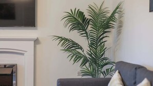 A living room with a fireplace, a large potted plant, and a flat-screen TV mounted on the wall. - Spacious 4 Bedroom House With Parking (Gateshead)