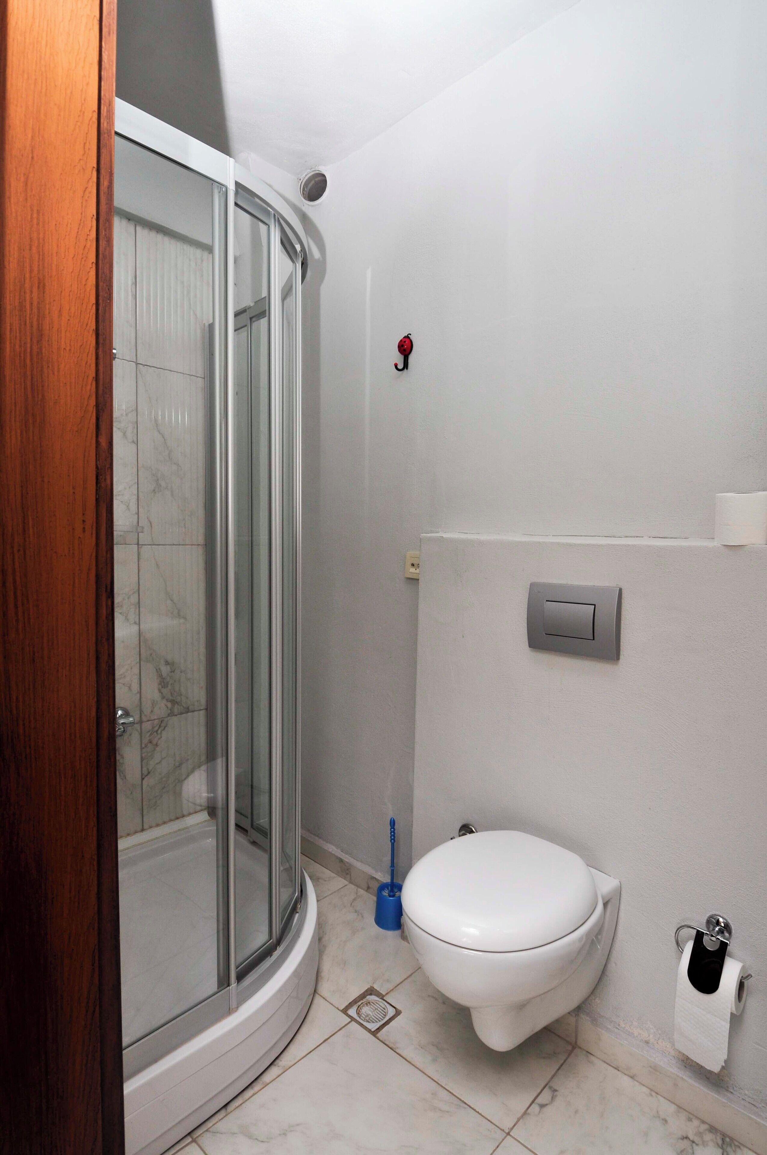 A bathroom with a glass shower enclosure, a toilet, and a towel rack.