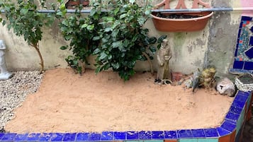 Ferienhaus | 3 Schlafzimmer