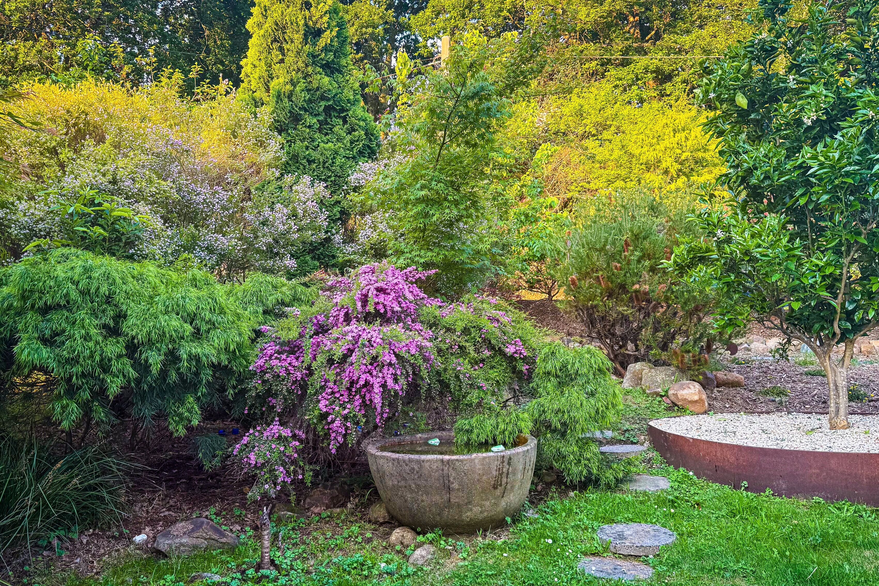 Overnattingsstedets uteområder