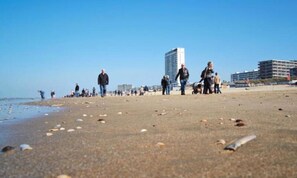 Beach - Apartment in Zandvoort Near the Beach (Zandvoort)